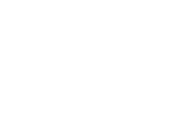 cycle-vector